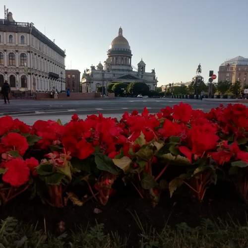 Photo #10768113