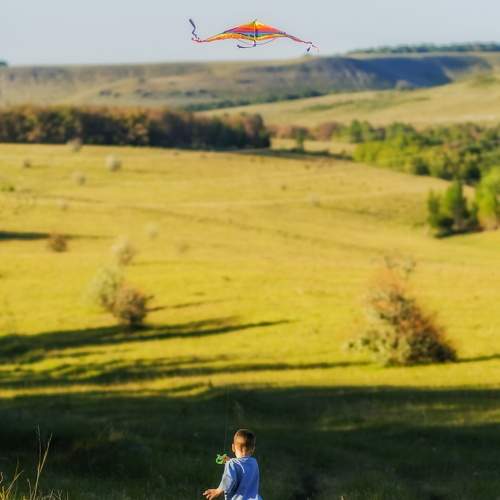 Photo #10768277