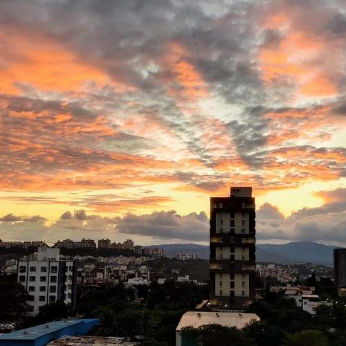 Photo #10768295