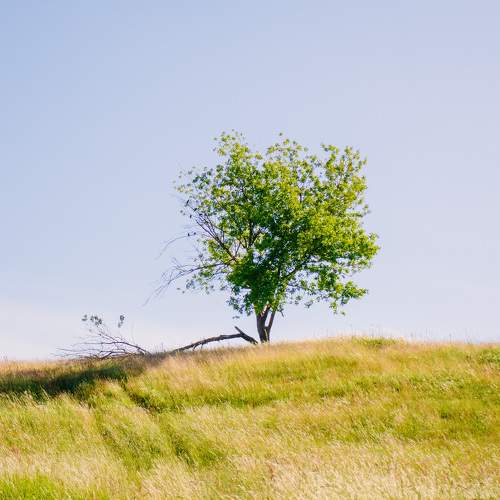 Photo #10768327