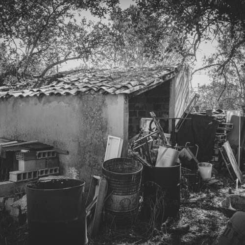 Photo #10768494