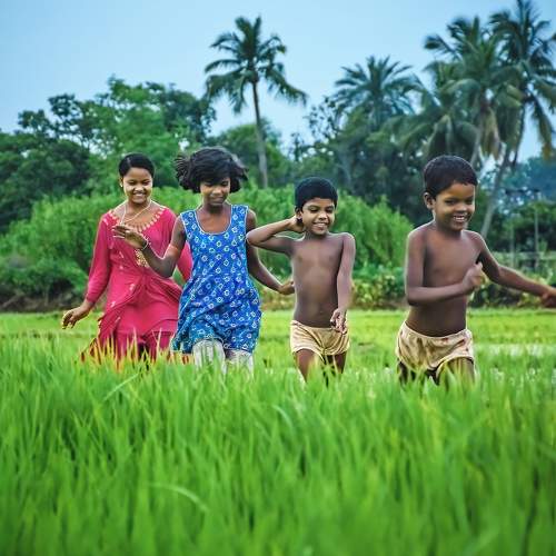 Running through the paddy Field