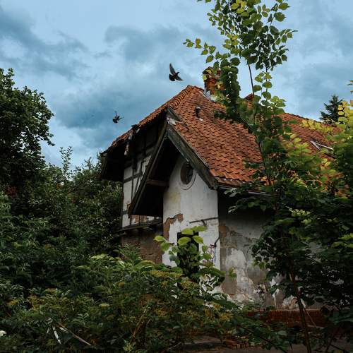 Photo #10768545