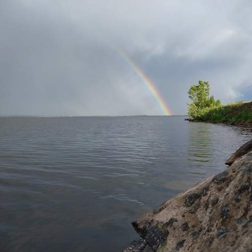 Photo #10768713