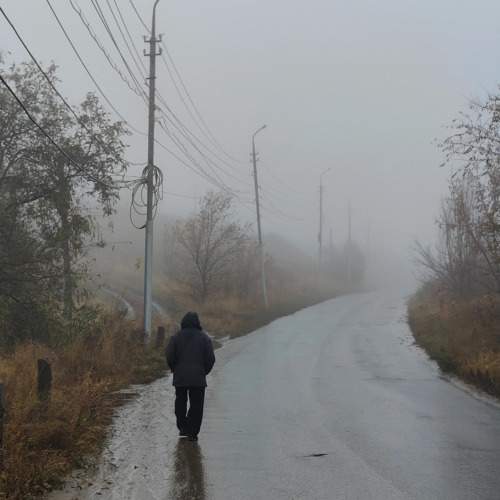 Photo #10768937
