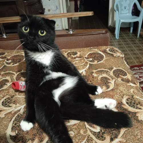 Photo #10769385