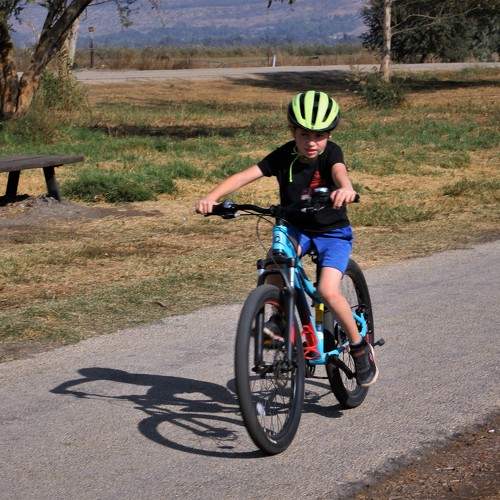 Photo #10769401