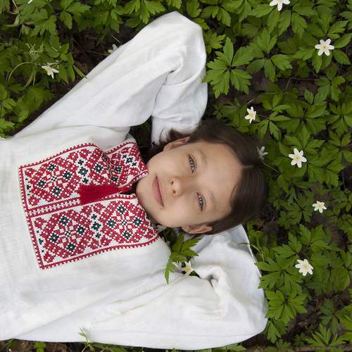 Photo #10769465