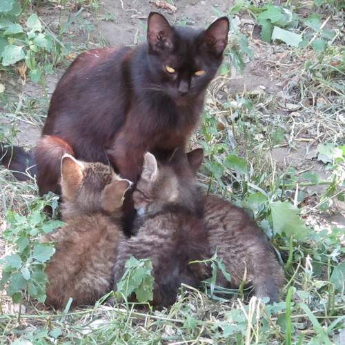 Photo #10769860