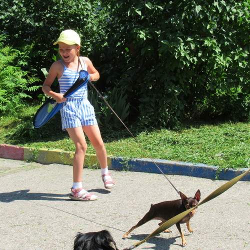 Photo #10769891