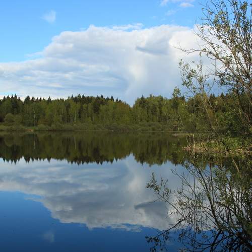 Photo #10770080