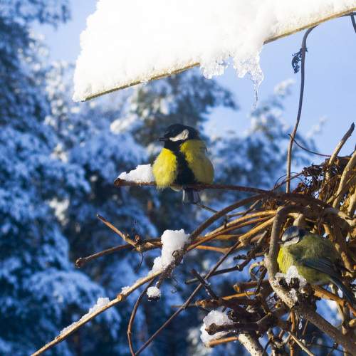 Photo #10770120