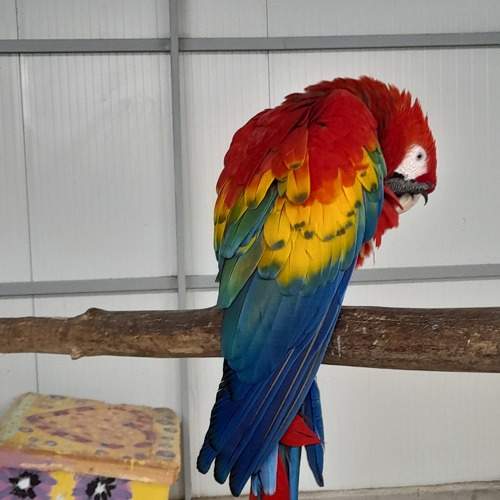 Photo #10770123