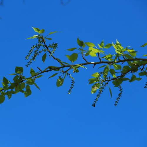 Photo #10770126