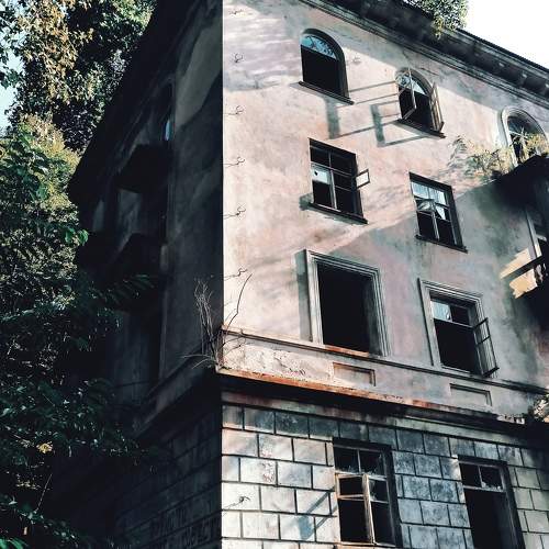 Photo #10770653