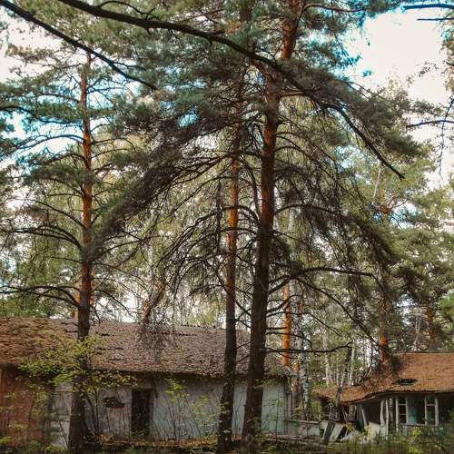 Photo #10770663