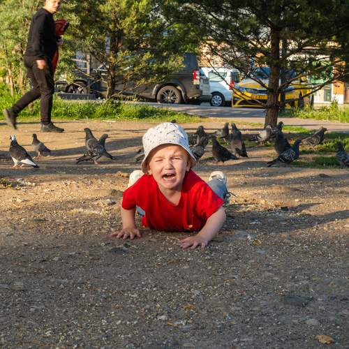 Photo #10770779