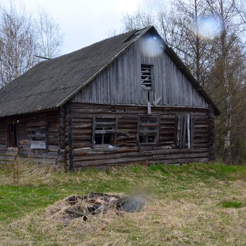 Photo #10770928