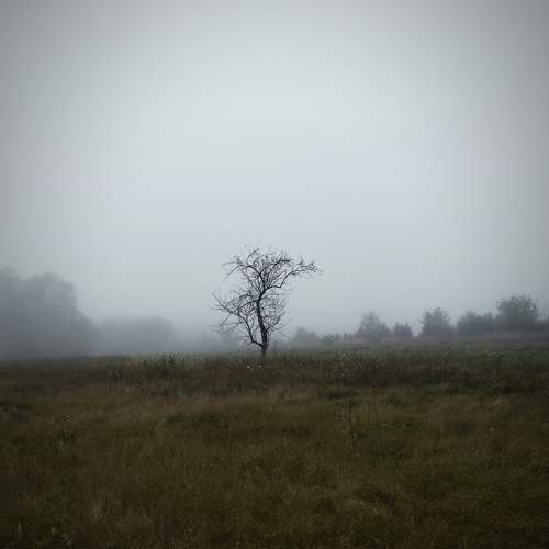 Photo #10771012