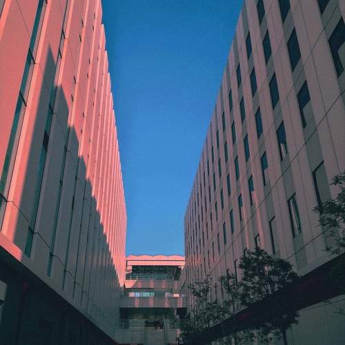 Photo #10771253