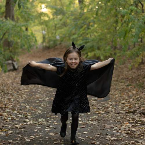 Photo #10771264