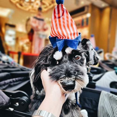 Photo #10771341
