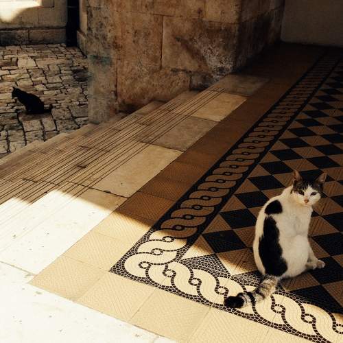 Photo #10771630