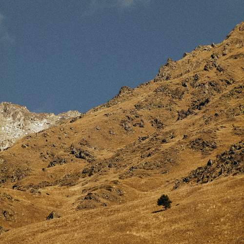 Photo #10771647