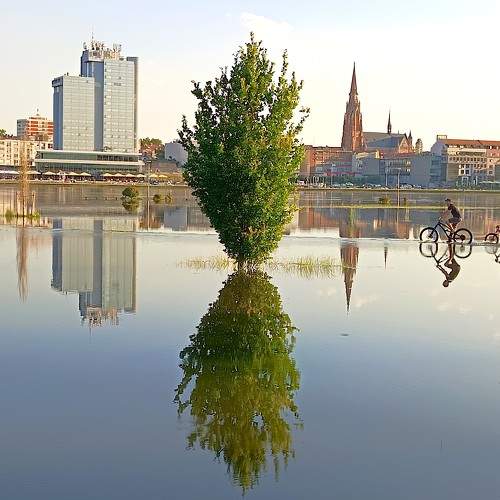 Photo #10771730