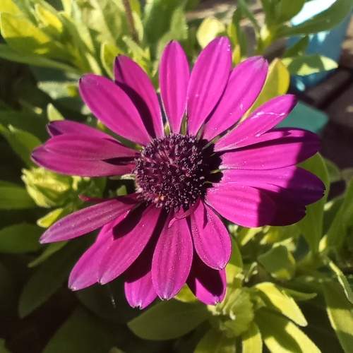 Photo #10771814