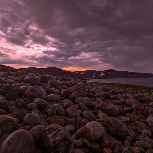 Photo #10771819
