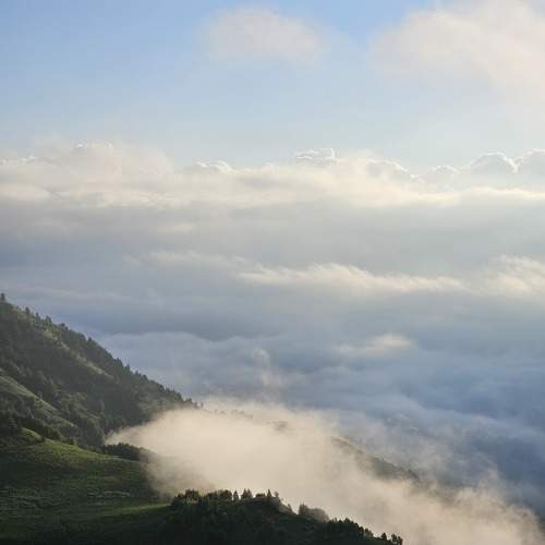 Photo #10771986