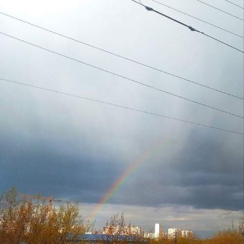 Photo #10772217
