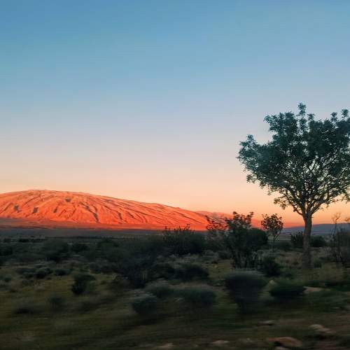 Photo #10772299