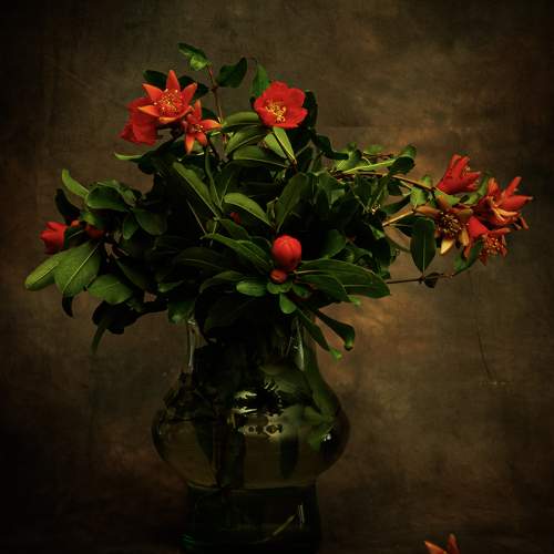 Photo #10772471