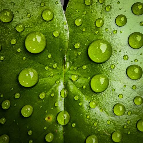 Photo #10774141