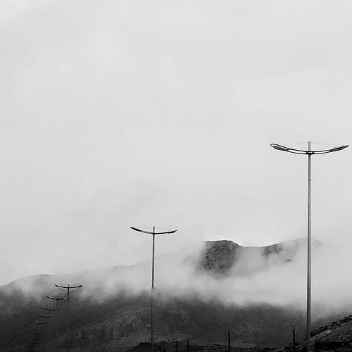 Photo #10774453