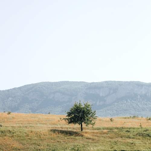 Photo #10774892