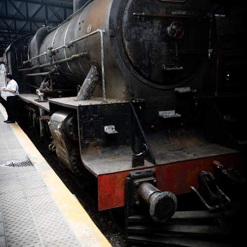 Photo #10774917