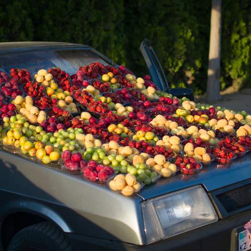 Photo #10775361