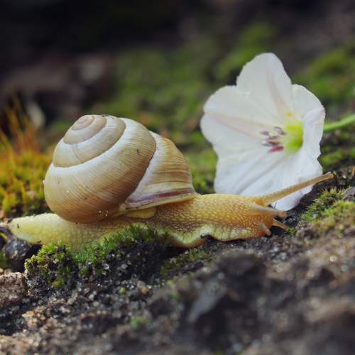 Photo #10775392