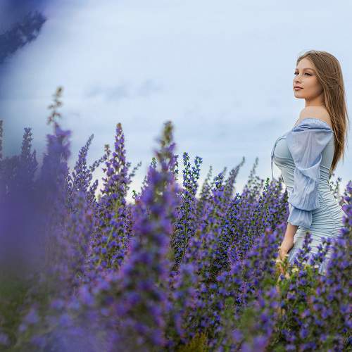 Photo #10775582