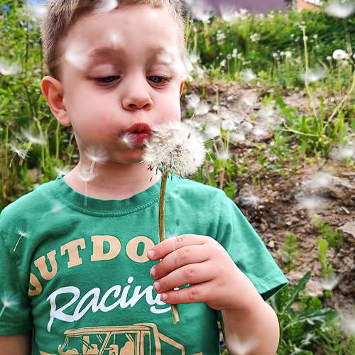 Photo #10775740