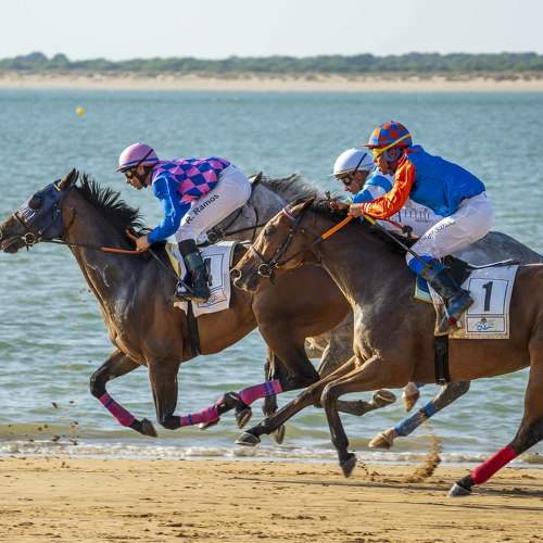 Carreras en Sanlúcar de Barrameda