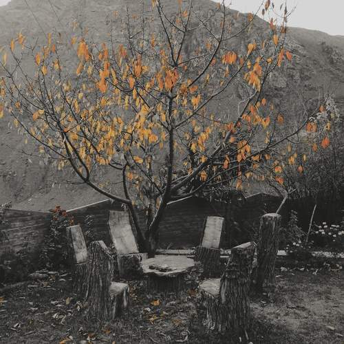Autumn