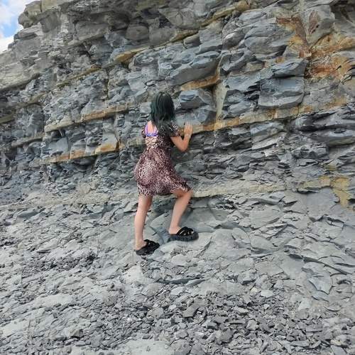 Photo #10776267