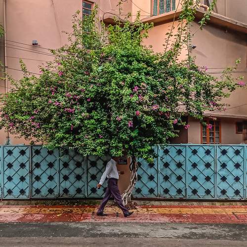 Photo #10776419