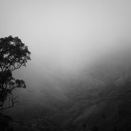 Photo #10776456
