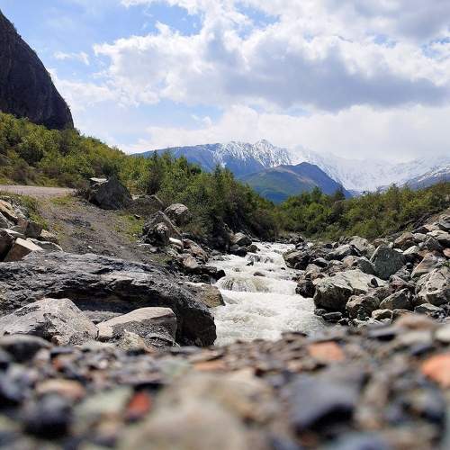 Photo #10776457
