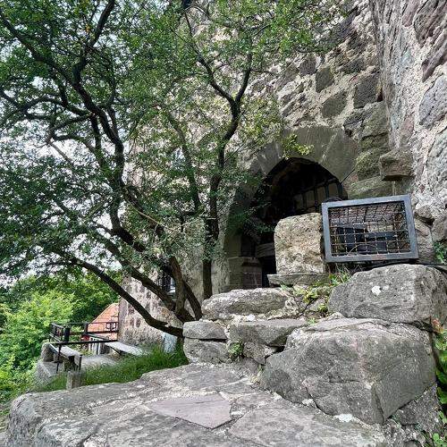 Photo #10776519